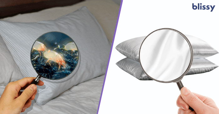 Blissy Silk Pillow Cover Review